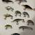 12 Name Brand Crankbait Lures 4 thumbnail