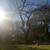 Huge Stunning Sunny East Vil 2br LOFT, WD in unit, steps to 6, VIDEO! 13 thumbnail