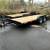 Tilt Trailer 7 x 18 10,000lb. Rated, Eagle Tilt Bed Trailer 10K 14 thumbnail