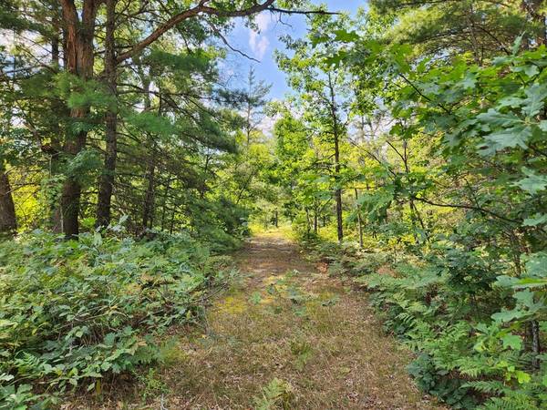 $59,900 10 Acres Prime Camping Location! Wilderness Trail (Luther)64037897002114120