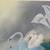 Original Painting on Canvas - Swans 6 thumbnail