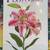 NEW Gardener's Gifts Book + Flower Book& 6 Magazines-Total $5 1 thumbnail