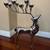 Pottery Barn Reindeer Candelabra 1 thumbnail