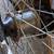 Vintage Sears N Roebuck 1960s 3 Speed Hub Bike 16 thumbnail