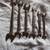 6 Craftsman SAE Open End Wrenches in Excellent Condition 2 thumbnail