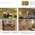 San Marin Executive Medical Campus Offices 5 thumbnail
