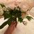 Silk Flowers in Tiny Rolling Rock Green Bottle 9 thumbnail