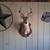 Deer heads 3 thumbnail