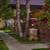 No Pet Deposit, 2 Gas Barbeque Grill Areas, Resident Referral Program 4 thumbnail