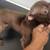 Puppy for new home 2 thumbnail