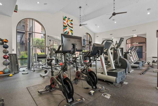$1,238 / 1hab - 924ft2 - Piscina estilo resort, Lavavajillas, Casa club, Bañeras romanas (Houston Medical Center)63906680348418122