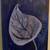Blue Ash Leaf Painting 5 thumbnail