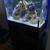 Aquarium 3 thumbnail