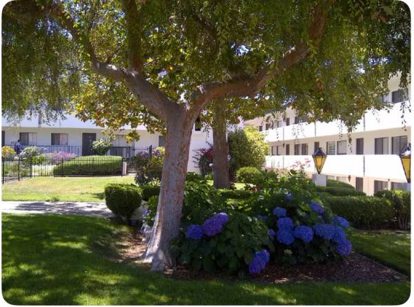 $2,550 / 2br - 790ft2 - Short term 30-day+ rental, 2-bdrm 2-bath furnished condo, with all utilities! (Monterey)64009497808641120