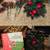 CHRISTMAS LOT PLATES BOWL CUP ORNAMENTS SNOWGLOBE SANTA BAG OF COAL 9 thumbnail