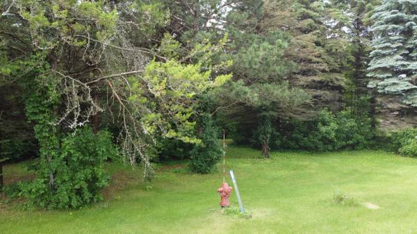 $39,900 1/2 Acre Corner Lot in Ottertail City (Lots/Land) (Ottertail)64149664184835122