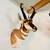 Antelope Mounts (Taxidermy) 7 thumbnail