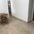 1 bed Basement apt for rent Roncesvalles 6 thumbnail