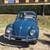 Volkswagen VW Bus or Bug WANTED! 6 thumbnail