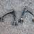 Front Suspension Parts, fits 07-13 Full-Size GM Trucks and SUVs. 10 thumbnail