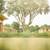 Playground, Spacious Closets, Basketball Court 8 thumbnail