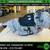 JDM 2010-12 SUBARU LEGACY OUTBACK 2.5 CVT AUTOMATIC TR690 TRANSMISSION 2 thumbnail