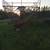 Bale Basket 1 thumbnail