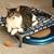 Elevated Pet Bed New in Box 1 thumbnail