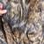 Women’s Fur Coat—Racoon 10 thumbnail