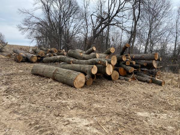Fire wood and hardwood logs for sale - $100 (Whitehall)63471096403713124