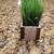 WINDOW PLANTER BOX WITH FAKE GRASS NEW 2 thumbnail