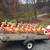 Vintage Santa's Sleigh w/ 9 Reindeer Blow Mold Christmas Lights 2 thumbnail