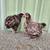 Young Chocolate English Orpington Pair 4 thumbnail
