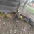 Birds inglish buggies 1 thumbnail
