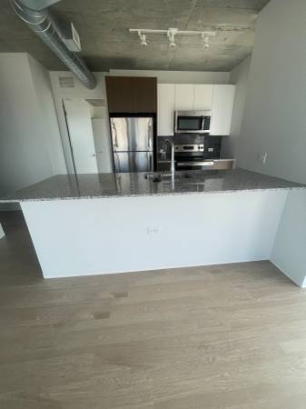 $3,050 / 2br - 1182ft2 - Wonderful 2 bed with ss appliances, hw floors, washer/dryer, and pool (South Loop)63898984814851121