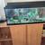 fish tank and accessories 2 thumbnail