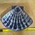 SET of 2 Ceramic Seashells — NEW!   NOTE:  One has a small chip on underside ( 3 thumbnail