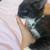 Black, white kitten available for rehoming 3 thumbnail