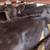 11 Black Beef Feeder Calves 11 thumbnail