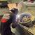 ONE STOP SHOP RIM REPAIR POWDERCOATING WHEEL PAINTING 16 thumbnail