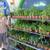GARDEN CENTER, STARTS, SOILS, POTS, FERTILIZERS. Sale! 1 thumbnail