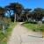 Outer Sunset Clean Spacious Upper Floor 3 Bdrms, 2-1/4 Baths. 2 thumbnail