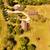 73± Acres with Executive Home, Barns, and Rural Paradise 1 thumbnail