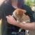 Free kittens in Snyder 2 thumbnail