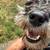 Pet sitter, pet boarding, dog sitter  $20.00 coupon  on 1st rover booking 1 thumbnail
