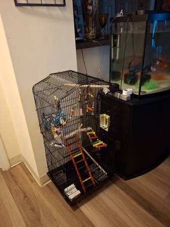 Large bird  cage (Franklin)63871359015937123