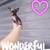 Teacup chihuahua 2 thumbnail