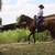 All Around AQHA mare 11 thumbnail
