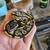 Ball python babies 3 thumbnail