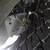 2012 Ford F250 Super Duty XLT Crew Cab 4X4 Texas Truck! Flawless 13 thumbnail